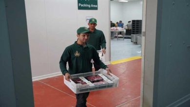 250 ألف أسرة مستحقة تستفيد من مبادرة «فطارك معانا يوم عرفة»