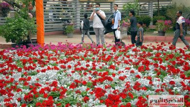 استمرار توافد الزائرين على معرض زهور الربيع بالدقي