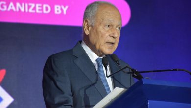 أبو الغيط: الأمن السيبراني أصبح ركيزة أساسية من ركائز الأمن القومي للدول