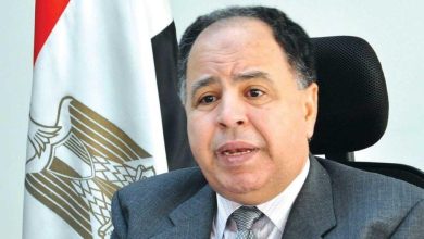«المالية» تُحوِّل لـ«المعاشات» 1.117 تريليون جنيه خلال 6 سنوات