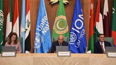 أبو الغيط يؤكد أهمية معالجة الأسباب الجذرية الدافعة لخروج تدفقات الهجرة