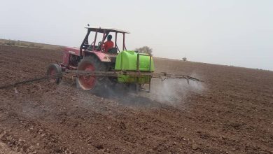 المنظمة العربية للتنمية الزراعية تبدأ في تنفيذ مشروع الإنعاش المبكر وإعادة تأهيل الإنتاج الزراعي في السودان