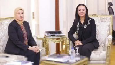 وزيرة التضامن الاجتماعي تلتقي أعضاء الهيئة البحثية بالمركز القومي للبحوث الاجتماعية والجنائية.. وتطلع على جهوده البحثية في تناول القضايا الاجتماعية 