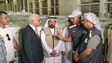 محافظ شمال سيناء يستقبل سفينة المساعدات الإماراتية في العريش