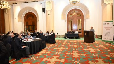 المجلس العربي للطفولة والتنمية ينظم بالقاهرة ورشة خبراء من 4 دول عربية لمناقشة سبل الكشف والتدخل المبكر في مجال الأطفال ذوي الإعاقة