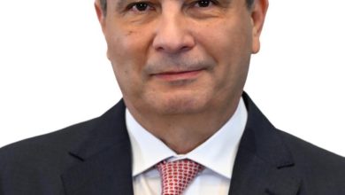 الزراعة: خلال النصف الأول من أكتوبر تصدر (447) ترخيصاً لكافة أنشطة ومشروعات الثروة الحيوانية والداجنة والعلفية