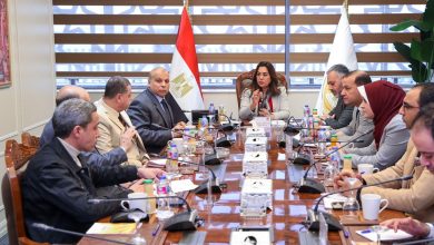 وزيرة التنمية المحلية تعقد اجتماعاً لمتابعة الموقف التنفيذي لتطوير المجازر على مستوى الجمهورية