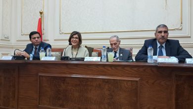 القومى للمرأة يناقش "تأثيرات الإعلام الإلكتروني على منظومة الأمن القومي المصري"