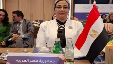 المستشارة أمل عمار تلقي كلمة مصر في فعاليات الدورة الثانية عشر للجنة المرأة التابعة للإسكوا