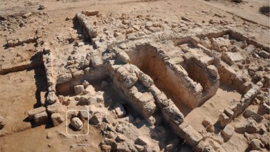 البعثة الأثرية الفرنسية من جامعة ليون والمعهد الفرنسي للآثار الشرقية نجحت في الكشف عن رأس تمثال رخامي لرجل كبير في العمر من العصر البطلمي