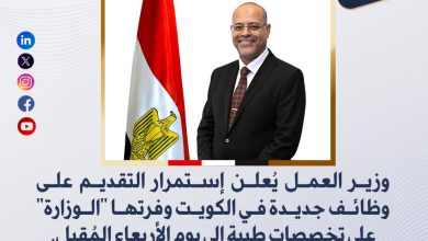 وزير العمل يُعلن استمرار التقديم على وظائف جديدة في الكويت وفرتها "الوزارة" على تخصصات طبية إلى يوم الأربعاء المُقبل.