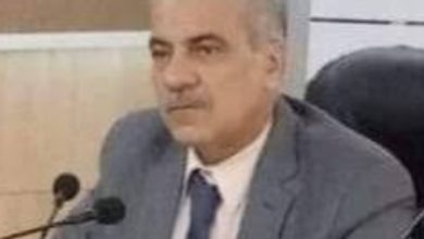 د لؤي سعد الدين نصرت: امتحانات كلية الهندسة بجامعة أسوان تسير بشكل منتظم