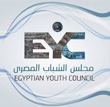 مجلس الشباب المصري يصدر تقريرًا تحليليًا عن المشهد الحزبي في انتخابات مجلس الشيوخ 2025