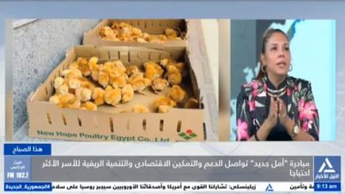 دكتورة راندا رزق تكشف لبرنامج "هذا الصباح" تفاصيل مبادرة "أمل جديد".. لتمكين المرأة والقرى المنتجة