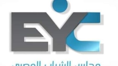 مجلس الشباب المصري ينظم ورشة عمل بعنوان “مصر وجسور التعاون والتكامل الأفري