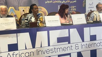 د. هدى يسى : توقيع الاتفاقيات المشتركة خلال قمة الاستثمار .. لتحقيق استدامة التنمية