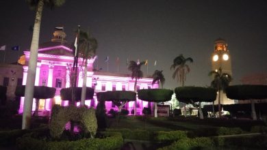 جامعة القاهرة تضيء مبناها التاريخي تضامنًا مع شهر أكتوبر الوردي لمكافحة سرطان الثدي 3 جامعة القاهرة تضيء مبناها التاريخي تضامنًا مع شهر أكتوبر الوردي لمكافحة سرطان الثدي