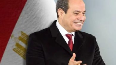 الدكتورة راندا رزق تشيد بدعوة الرئيس السيسي لإعمار غزة: نداء إنساني يجسد دور مصر الرائد في دعم الأشقاء