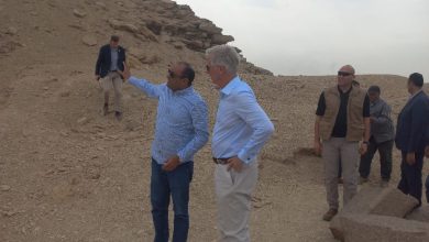 ملك بلجيكا في جولة خاصة بسقارة وأبوصير بعد افتتاح المتحف المصري الكبير