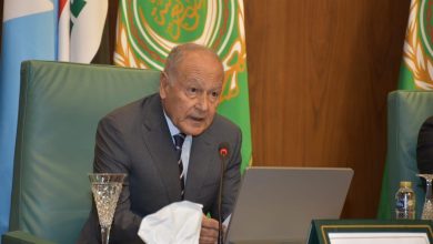 أبو الغيط: الإعلام يظل حائط صد صلب في مواجهة الفكر المتشدد والمتطرف وأداة لكشف خطاب العنف