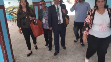 المنظمة العربية لحقوق الإنسان تطلق مهمة المتابعة الدولية للمرحلة الثانية من انتخابات مجلس النواب المصري