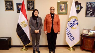 رئيسة المجلس القومي للمرأة تستقبل الممثلة المقيمة لبرنامج الأمم المتحدة الإنمائي في مصر