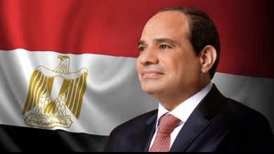 د راندا رزق تكتب: توجيهات الرئيس السيسي بشأن قوانين الأسرة .. نحو مستقبل أسري آمن