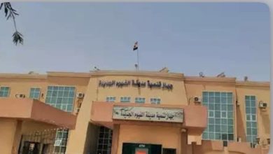 صدور رخصة تنفيذ كوبري المرحلة الثانية من الطريق الرابط بين مدينة الفيوم الجديدة والطريق الدائرى لمدينة الفيوم الام