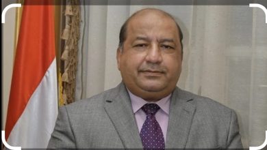 د راندا رزق تكتب: ملحمة سفير الحضارة وفارس التراث