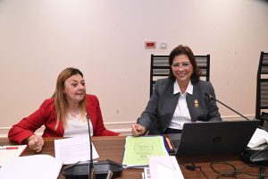 بإشادة برلمانية.. “تضامن النواب” توافق بالإجماع على موازنة القومي للأشخاص ذوي الإعاقة 2026/2027
