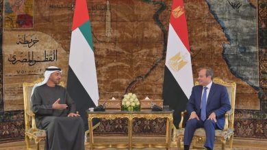 الرئيسان السيسي وبن زايد يرحبان بإتفاق وقف إنهاء حرب إيران ويبحثان تطورات أوضاع المنطقة