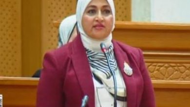 رئيس "إعلام النواب": 30 يونيو أثبتت أن وعي المواطن المصري أنقذ دولته من الخراب والدمار والجماعات الإرهابية