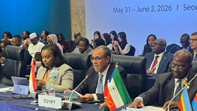 وزير الخارجية يستعرض المقاربة المصرية لتعزيز التعاون الاقتصادي وتحقيق التنمية المستدامة في أفريقيا خلال الاجتماع الوزاري الكوري الأفريقي