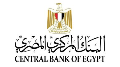 رقم قياسي لتحويلات العاملين المصريين بالخارج