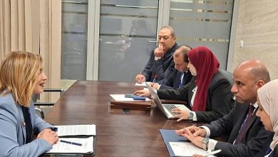 وزير العمل يبحث مع الجانب الألباني تعزيز التعاون في تشغيل العمالة الماهرة وتبادل الخبرات