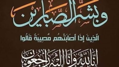بوابة يوتوبيا تنعي شقيقة وزير الإعلام السابق أسامة هيكل 9 بوابة يوتوبيا تنعي شقيقة وزير الإعلام السابق أسامة هيكل