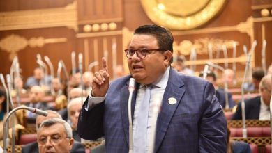 النائب خالد جلال يطالب بزيادة الدعم الموجه إلي وزارة الثقافة