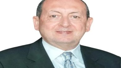 خالد العروسي يكتب: المصريون فى الخارج : درع الوطن ..ولكن!