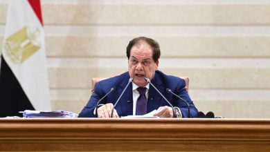 محمد أبو العينين : أمام الجمعية البرلمانية للاتحاد من أجل المتوسط: القضية الفلسطينية الاختبار الحقيقي للنظام الدولي.. والأمن الأورومتوسطي مسؤولية مشتركة