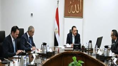 رئيس الوزراء يستعرض خطة التحرك والرؤية الاستراتيجية لرئيس جهاز تنمية المشروعات