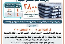 «التنمية الصناعية» تطرح 8 رخص جديدة لإنتاج «البيليت» بطاقة 2.8 مليون طن سنويًا