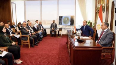 وزيرا الخارجية والمالية.. يبحثان سبل دعم التحرك المصري على الصعيد الاقتصادي