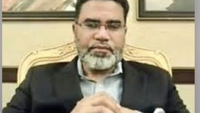 د. فايد محمد سعيد بكتب: في ذكرى المولد النبوي الشريف: لنقرأ سيدنا محمدًا ﷺ من جديد… السيرة أكبر من تاريخ المغازي