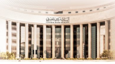 الجنيه المصري يحافظ على مكاسبه أمام الدولار وسط تحسن تدفقات النقد الأجنبي