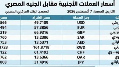 أسعار العملات الأجنبية اليوم.. الدولار عند 49.85 جنيه للبيع واستقرار حركة الصرف