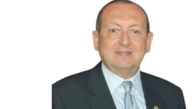 "المصريين في الخارج و ورقة التوت: حقيقة شاحبة وشعارات التجميل"