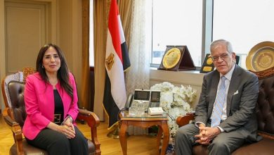 وزيرة الإسكان تبحث مع القائم بأعمال السفير الأمريكي تعزيز التعاون في مشروعات التنمية العمرانية