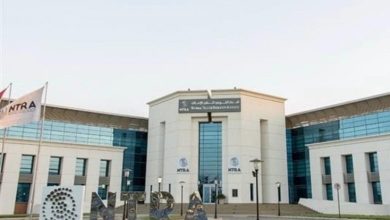 شعبة المحمول بالجيزة تطالب بتشديد ضوابط تسجيل الخطوط وتفعيل التحقق البيومتري لحماية بيانات المواطنين
