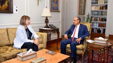 وزير الخارجية يودع المنسقة المقيمة للأمم المتحدة بمصر ويؤكد أهمية تعزيز الشراكة