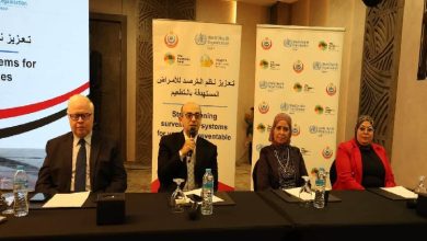 وزارة الصحة تنظم ورشة تدريبية لتعزيز ترصد الأمراض المستهدفة بالتطعيم والحفاظ على مكتسبات مصر